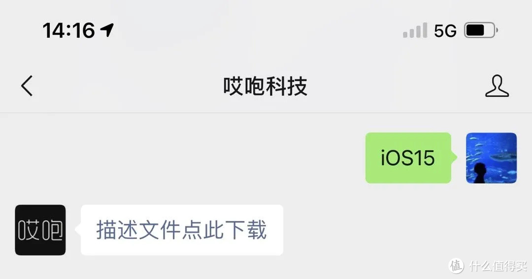 ios15.3.B1发布，千万千万千万别升级~