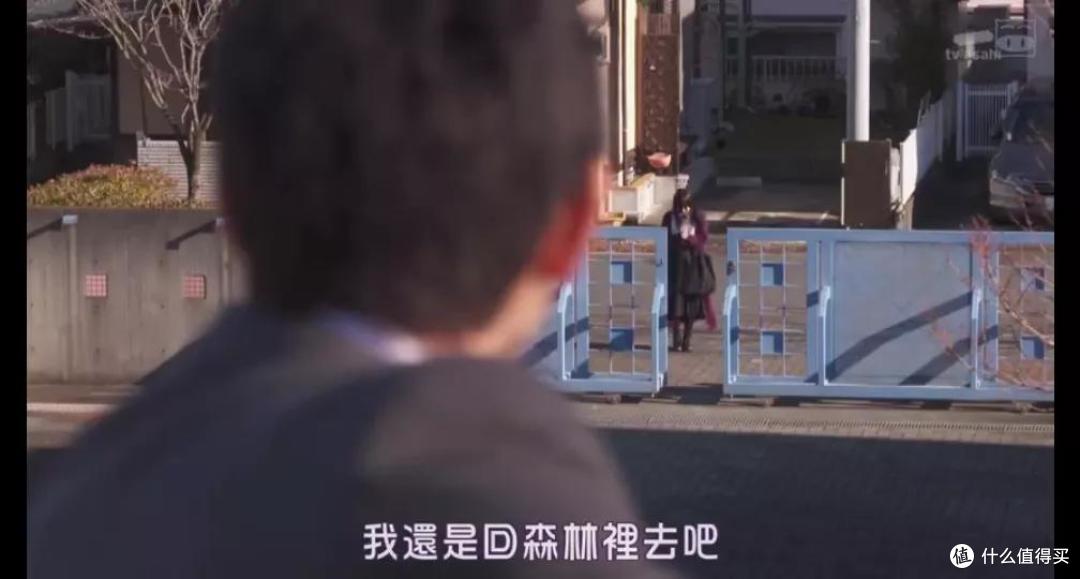 中二又治愈,这部极品漫改剧也太下头了