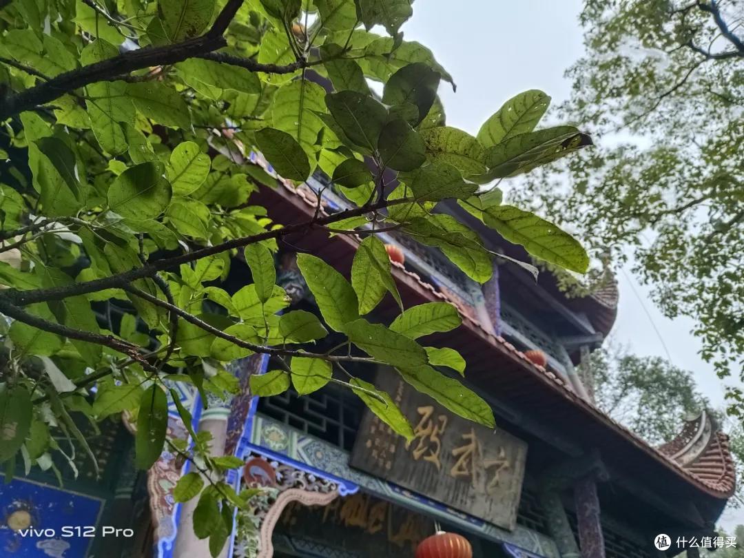 vivo S12 Pro测评:为喜欢玩游戏的小姐姐而生