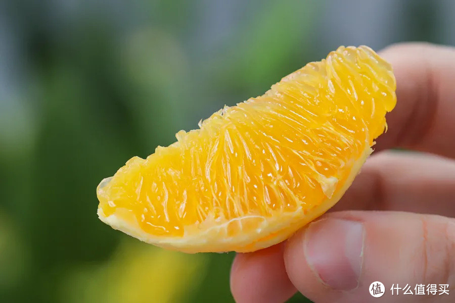 搞了场“橙王挑战赛”,最好吃的竟然又是……!