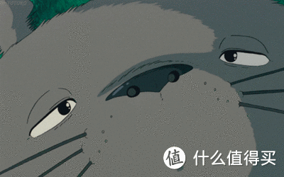 宠物圈 异宠｜宫崎骏的《龙猫》在现实里也存在，真“要心中有光”！
