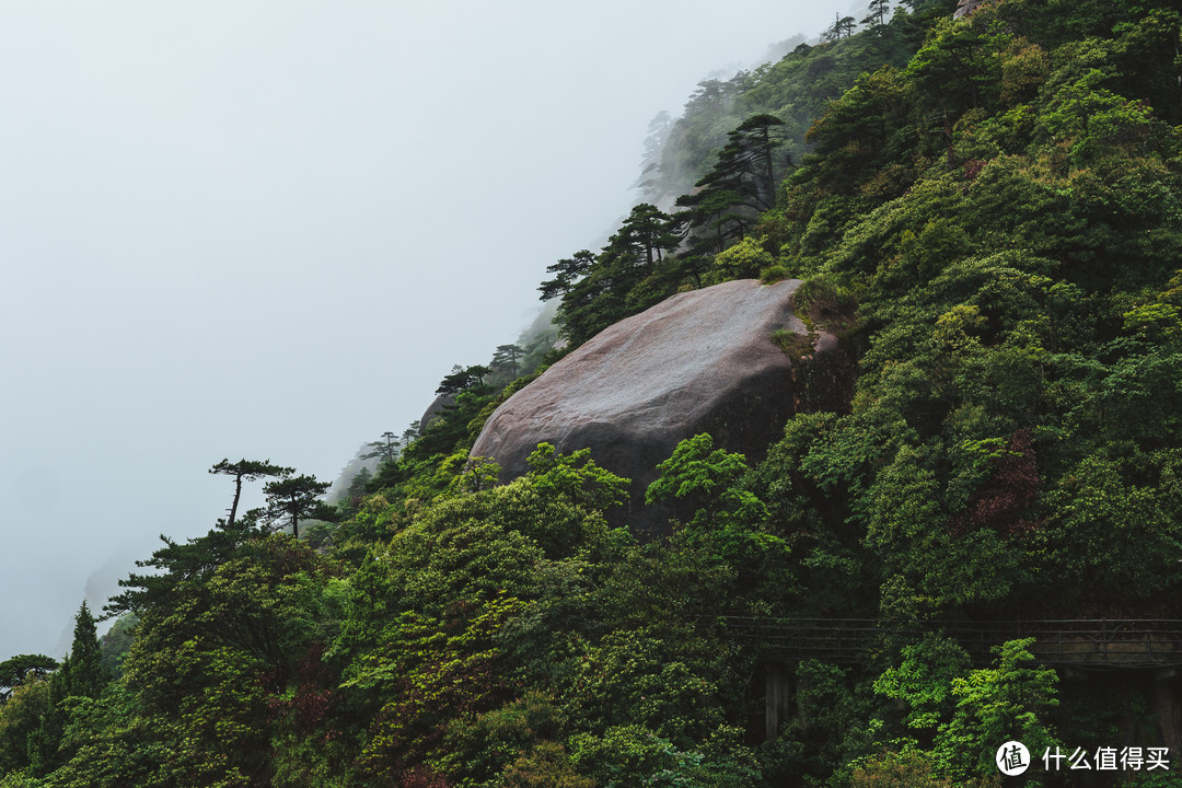 浙江—江西 四天三晚亲子游 篇三：三清山开元度假村