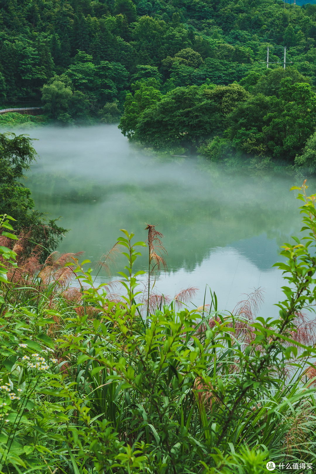 浙江—江西 四天三晚亲子游 篇三：三清山开元度假村