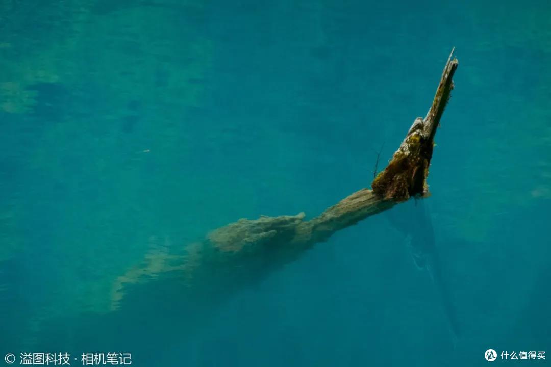 聊一聊同尺寸最强的长焦卡片机