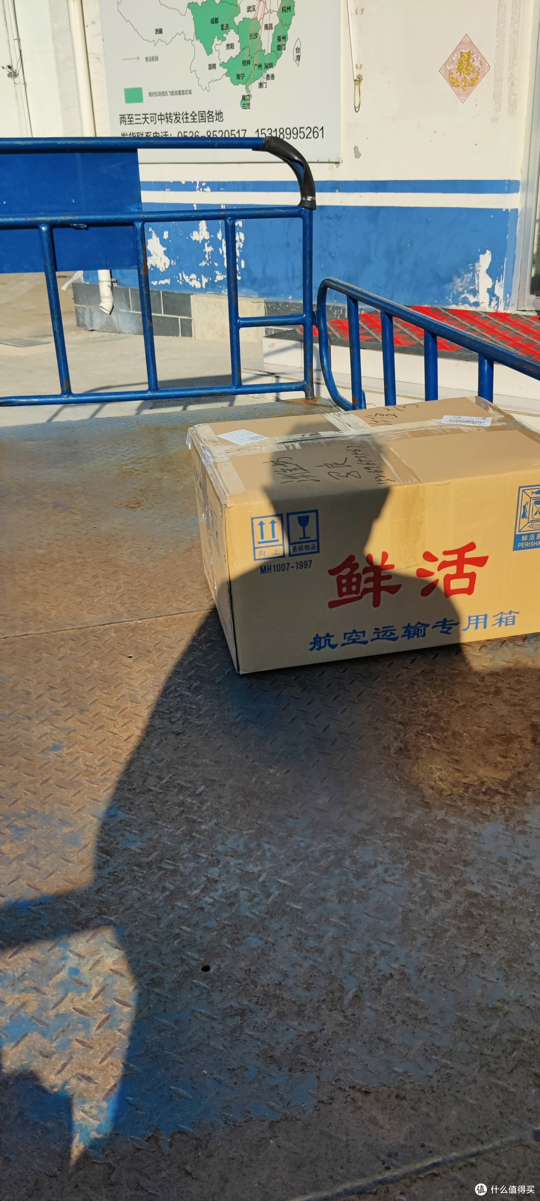 草缸封缸!下海了!开缸篇