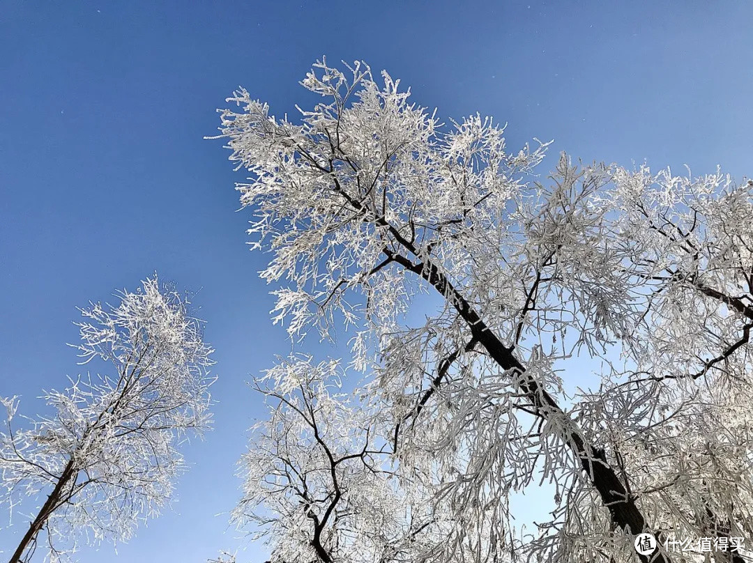 摊牌了，新的一年我只想在这躺平……