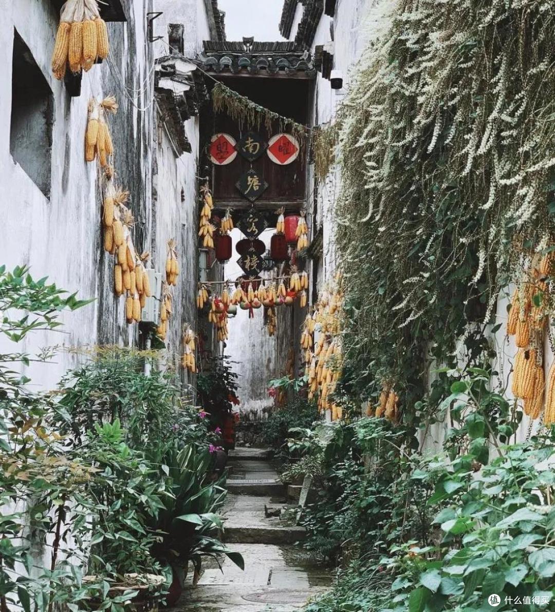 好山好水美食多,真是一个让人想养老的地方