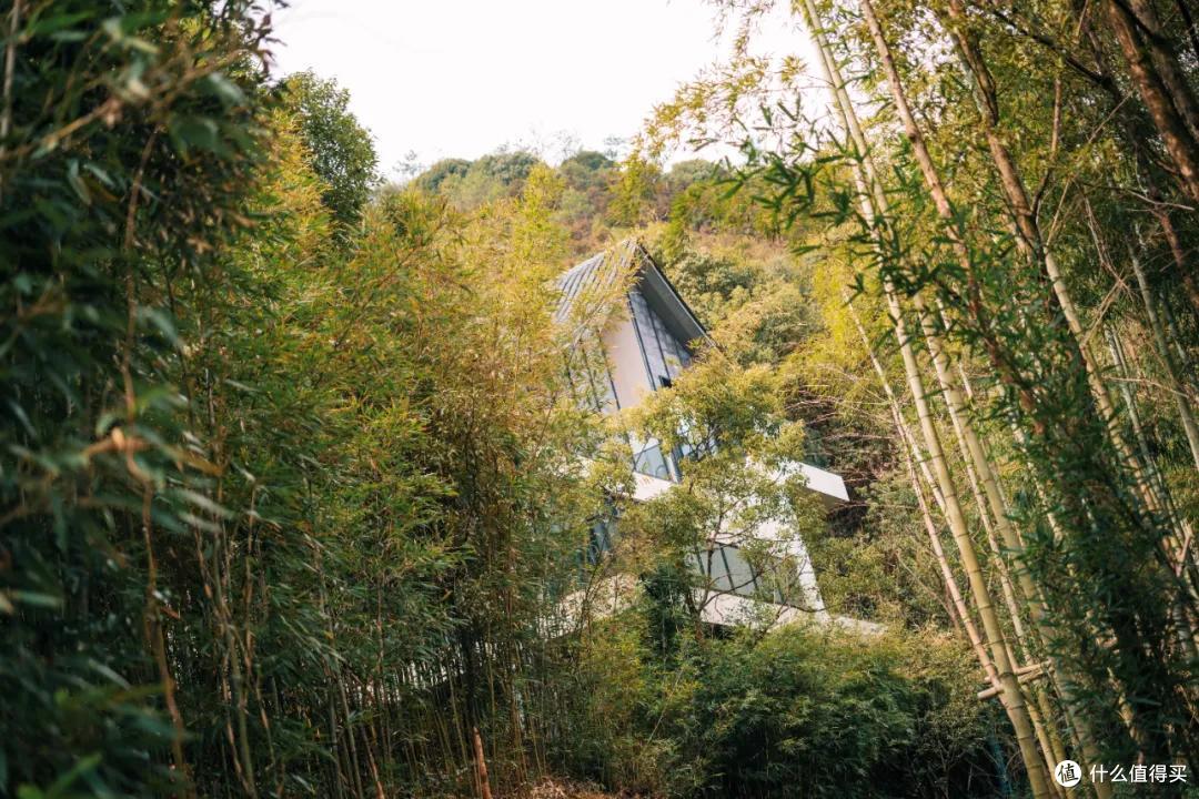 好山好水美食多,真是一个让人想养老的地方