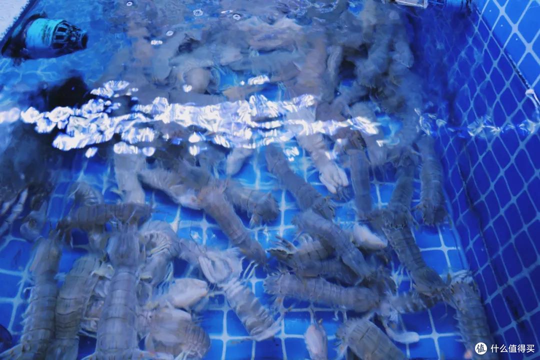 全浙江的优秀美食，都集中在这座城