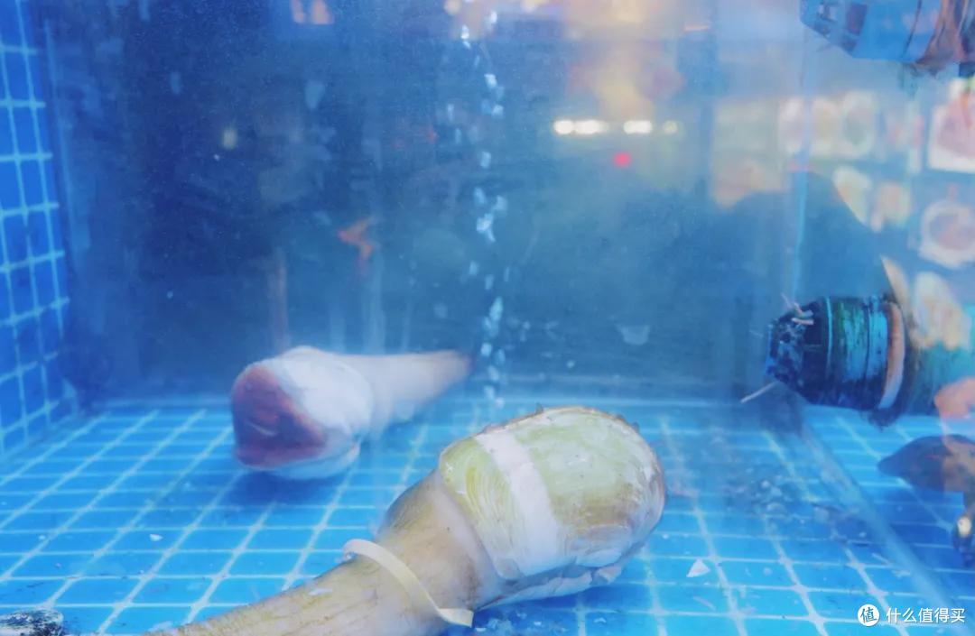 全浙江的优秀美食，都集中在这座城