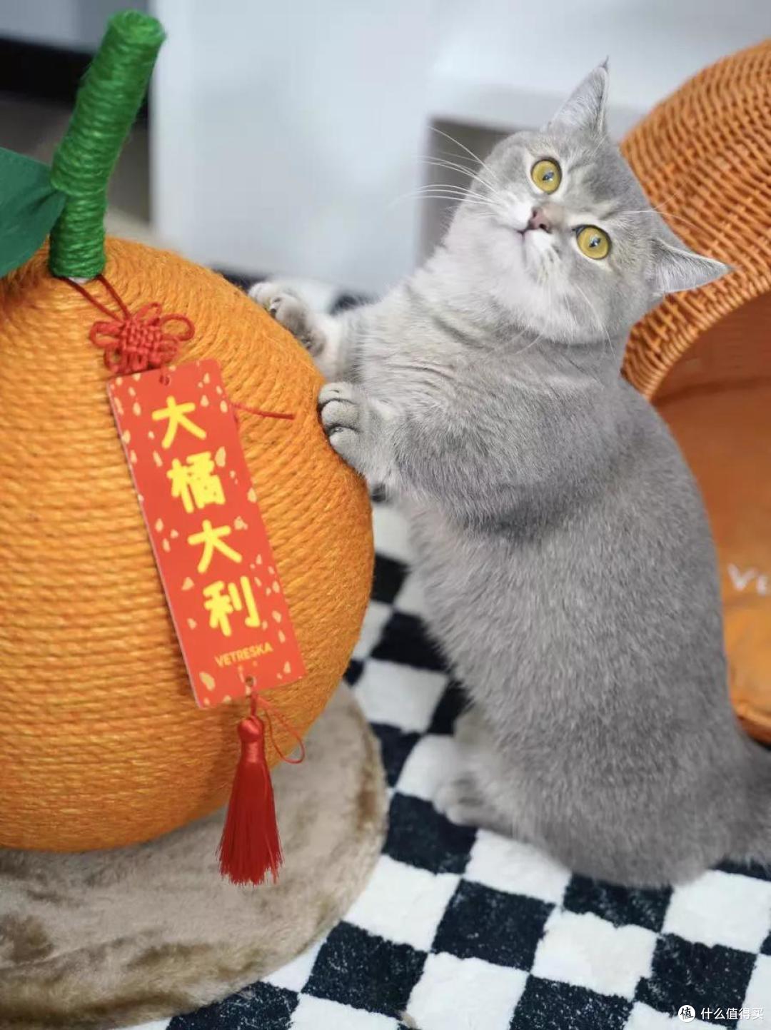 新年送礼能卷到什么程度?
