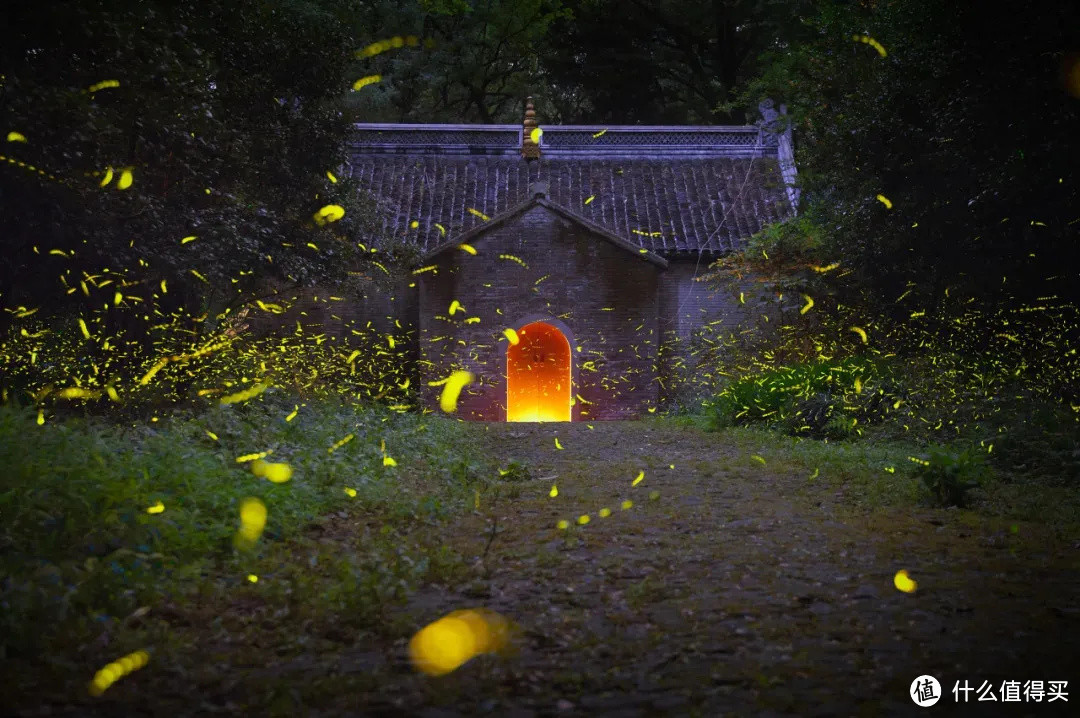 南京最美的四季风景，都藏在这里了！