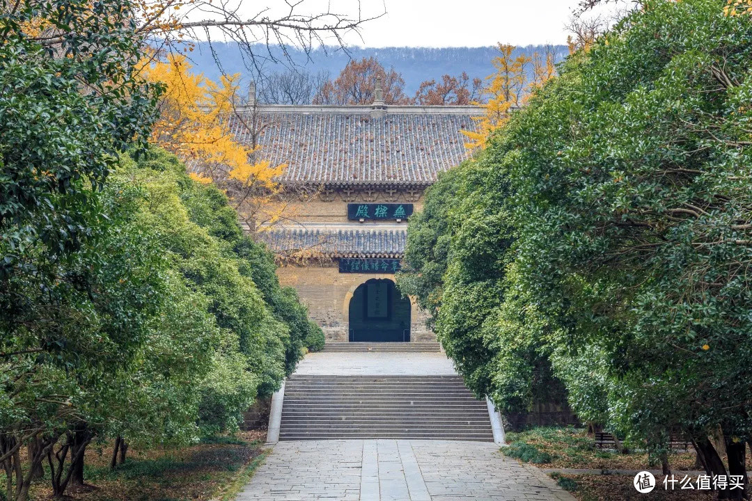 南京最美的四季风景，都藏在这里了！