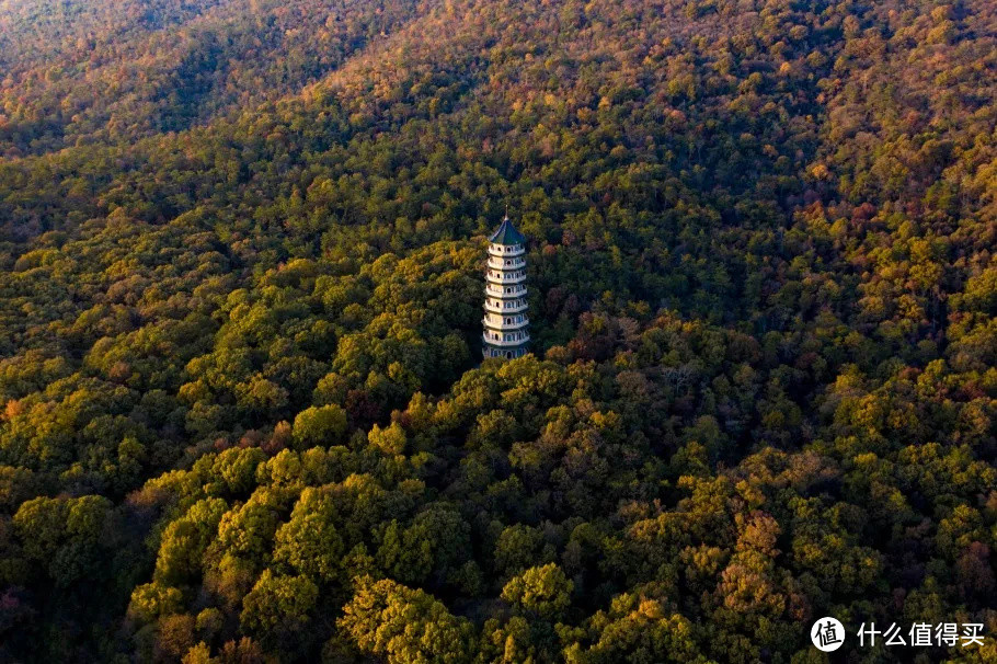 南京最美的四季风景，都藏在这里了！