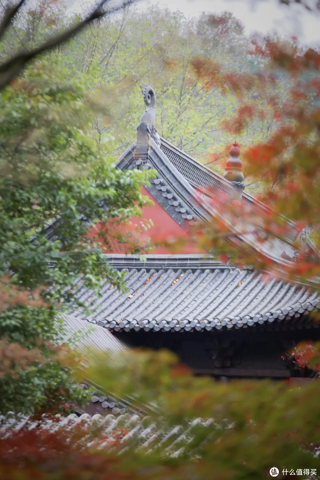 南京最美的四季风景，都藏在这里了！