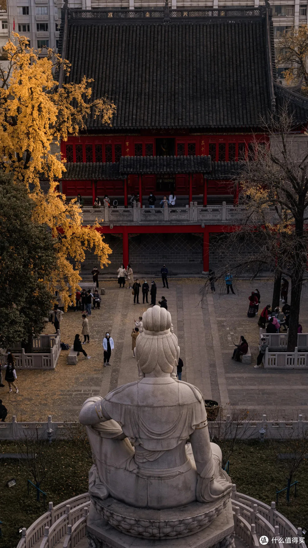 南京最美的四季风景，都藏在这里了！