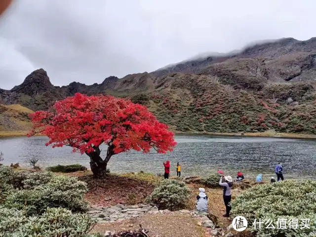 哈巴雪山攀登+黑海徒步，菠萝450的陪伴