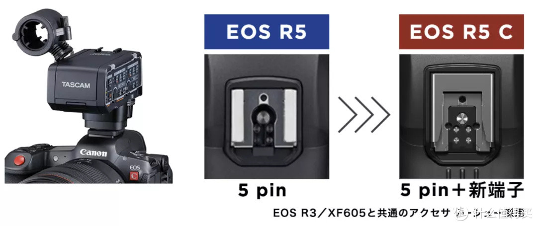 一体两面的佳能EOS R5 C (附与EOS R5的规格对比)