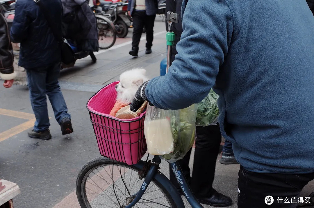 这个菜市场没带健胃消食片的话，别来！