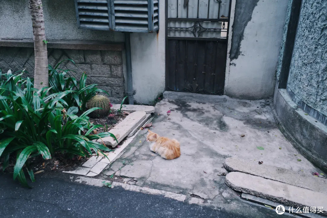 心中最佳的海滨旅行城市，必有它