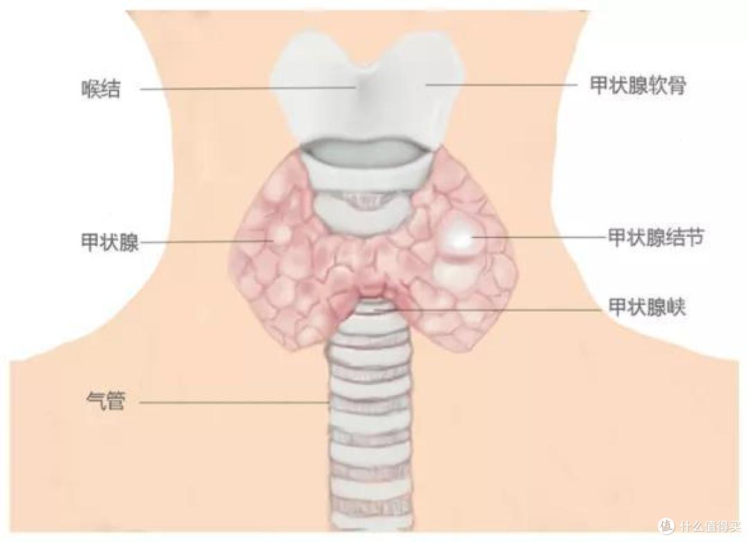 甲状腺癌还可以按保额赔付？