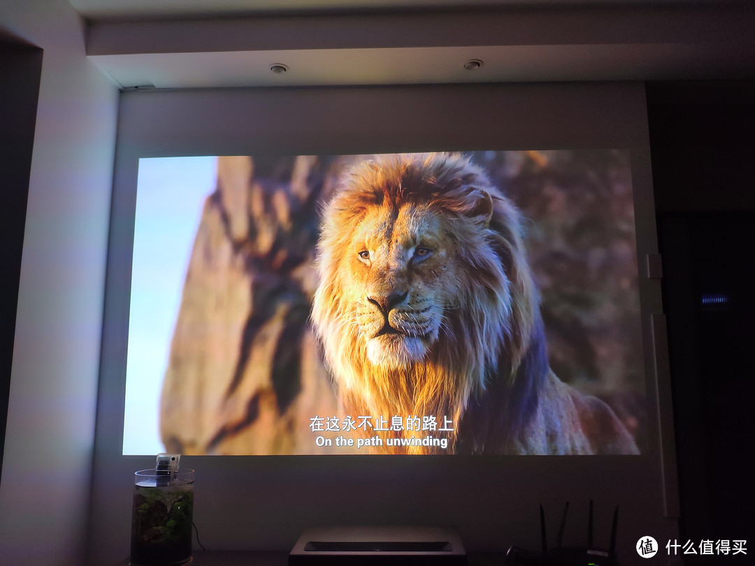 重看狮子王，每个毛发都非常逼真，真的有一头狮子在自己面前的感觉（1080P片源）
