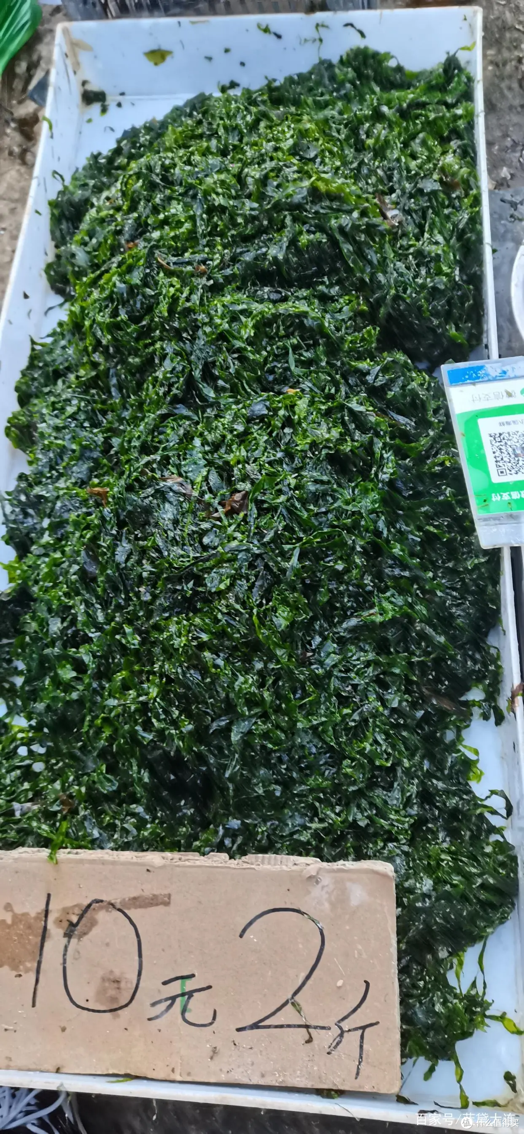 海味美食推荐！下锅烂、海麻线、绿菜，你吃过哪个？