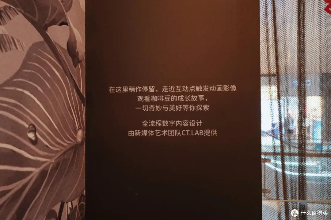 这座城的星巴克,让我变成了小酒鬼