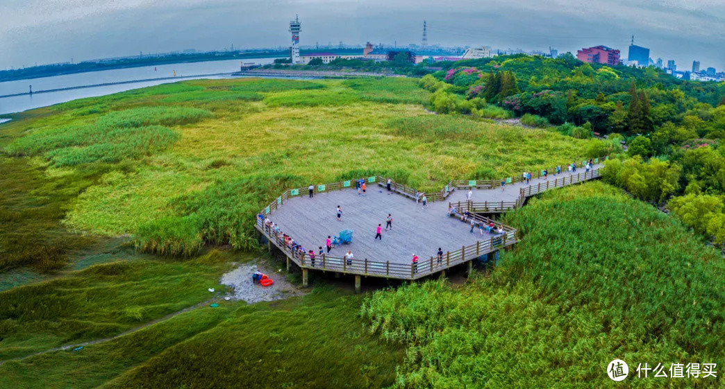 今天是“世界湿地日”，一起赏魔都湿地风光吧