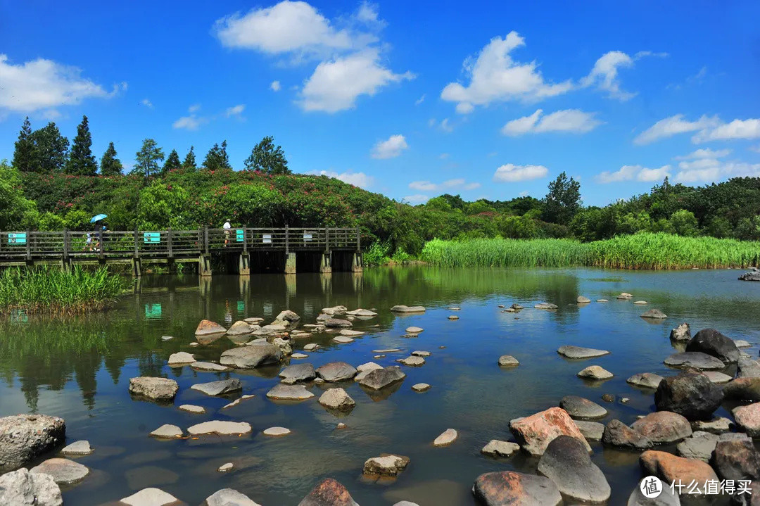 今天是“世界湿地日”，一起赏魔都湿地风光吧