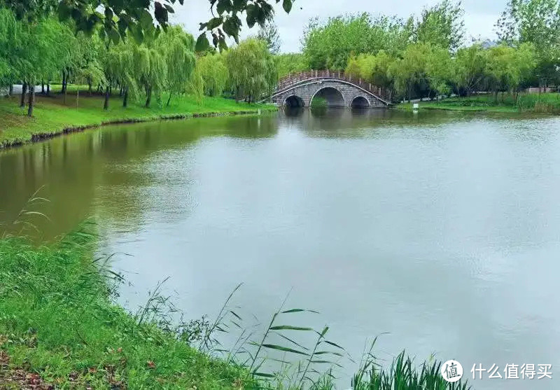 今天是“世界湿地日”，一起赏魔都湿地风光吧