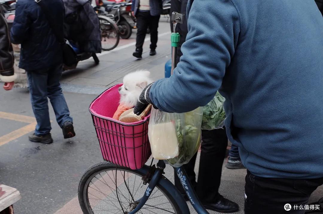 我说这是最好吃的大攻略,不过分吧?
