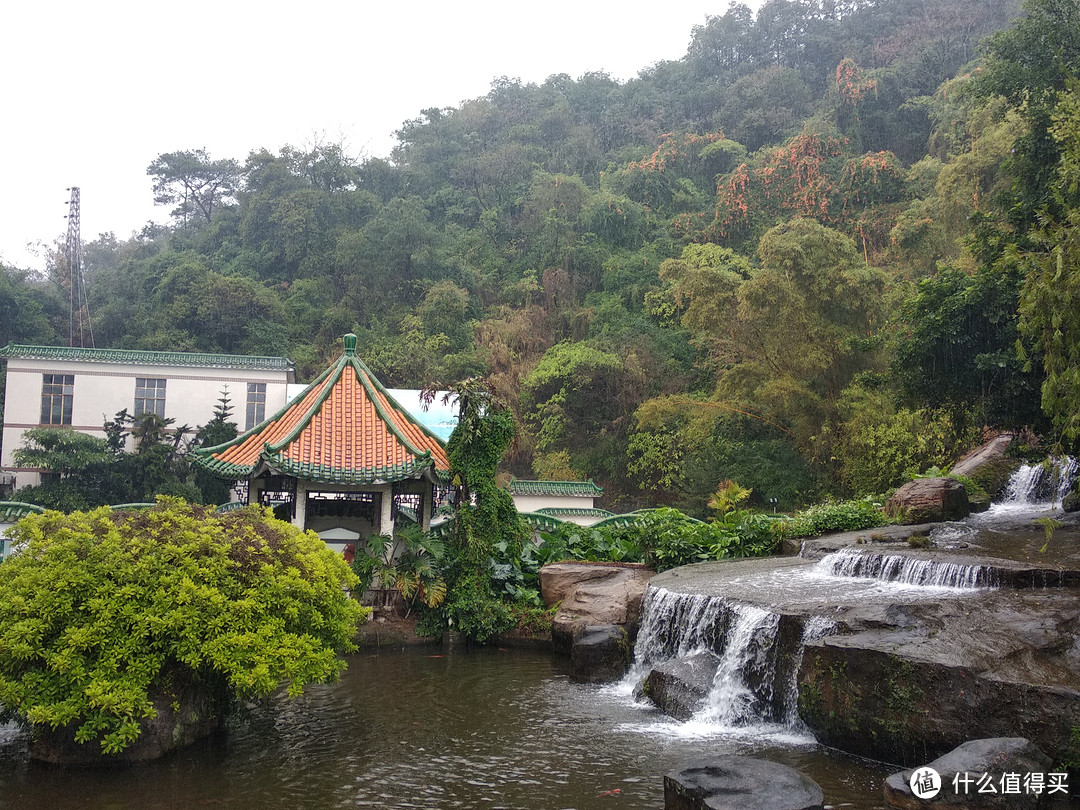 走进顺德，探店老牌四星酒店的早茶-仙泉酒店