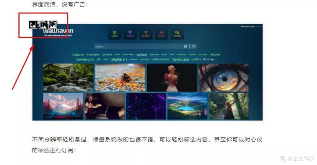浏览器看美图,这个脚本外挂你悄悄用