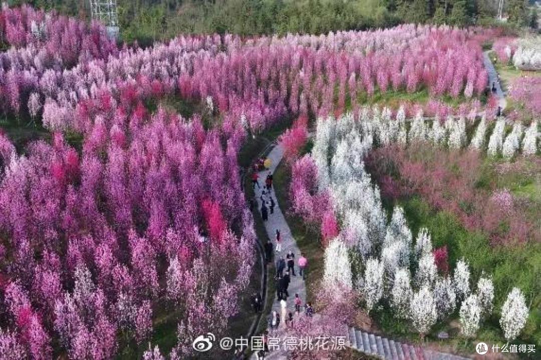 分去长沙半边嗦粉地盘,这座城市凭什么这么好吃?