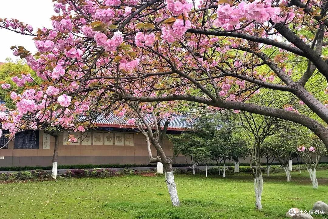 分去长沙半边嗦粉地盘,这座城市凭什么这么好吃?