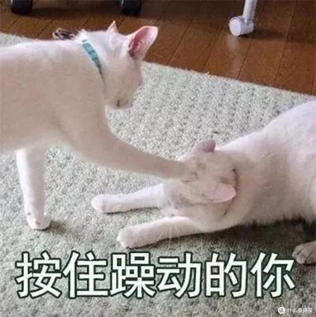 社保断缴还可以这么做,再也不怕社保断缴了!