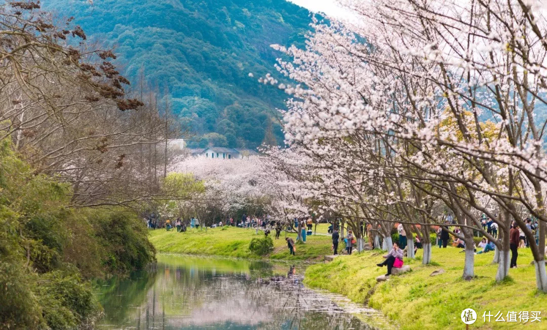 今年的旅行计划怎么做？不如跟着有趣的节日去旅行