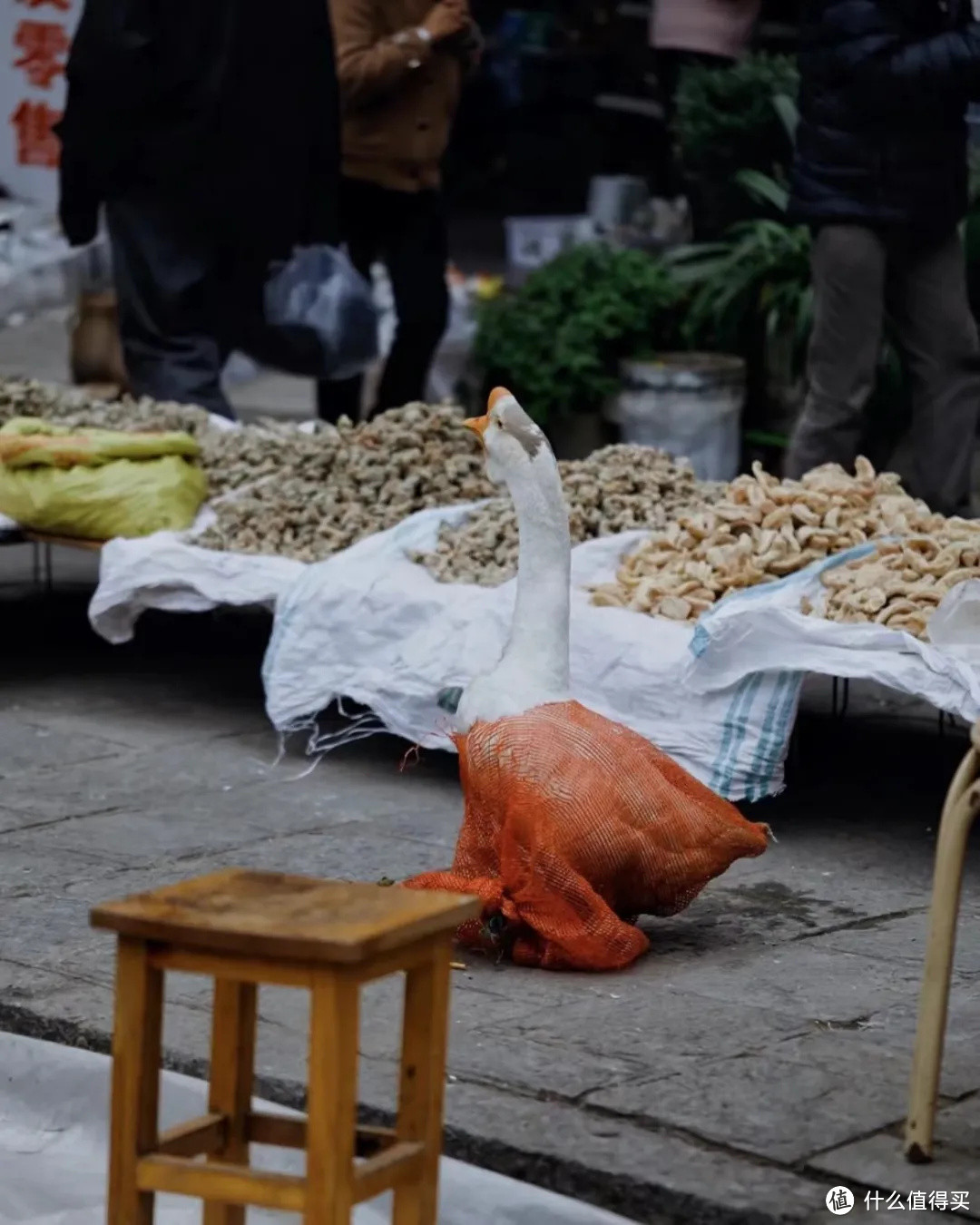 今年的旅行计划怎么做？不如跟着有趣的节日去旅行