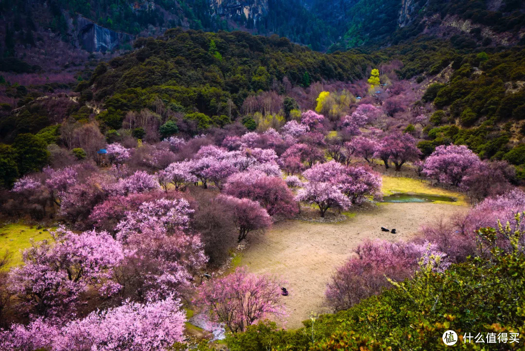 今年的旅行计划怎么做？不如跟着有趣的节日去旅行