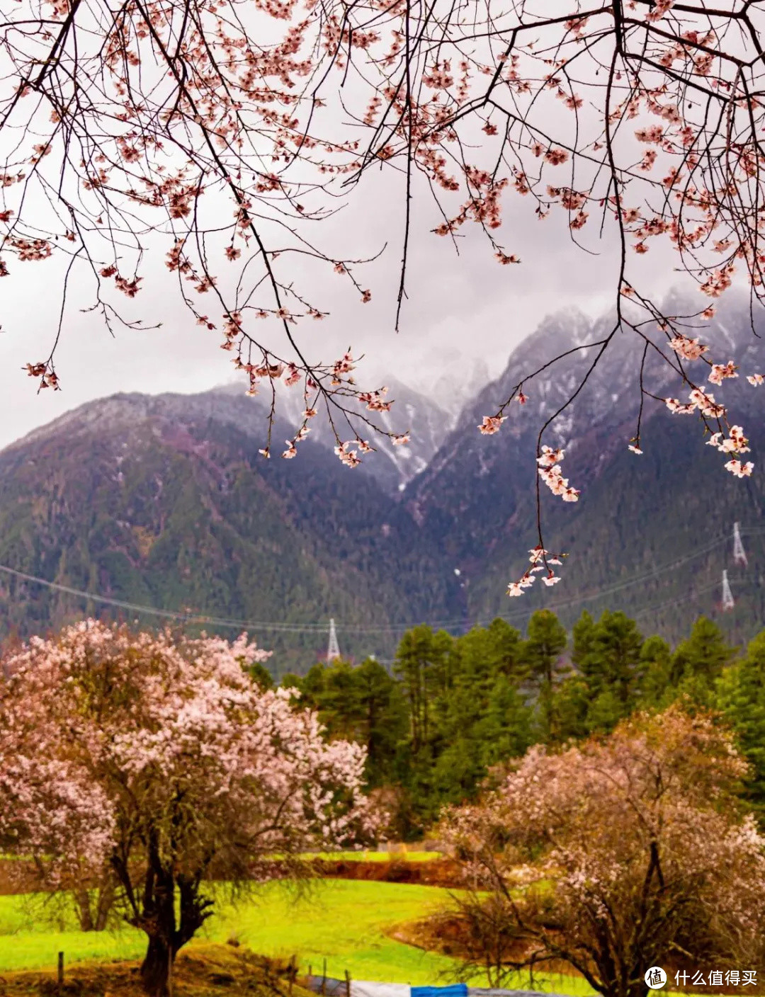 今年的旅行计划怎么做？不如跟着有趣的节日去旅行