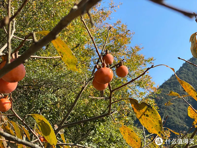 杭州富春山居·方外酒店：要说它是世外桃源 一点不为过~