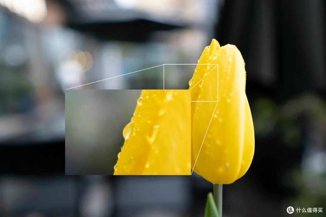 千呼万唤,适马APS-C三剑客X卡口版本终于来了!速观16mm F1.4测评