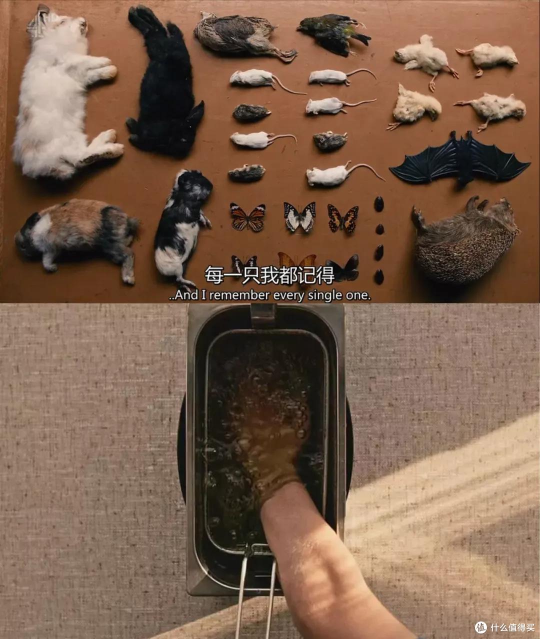 全网口碑爆表!这才是近年最好的英剧之一,强烈推荐
