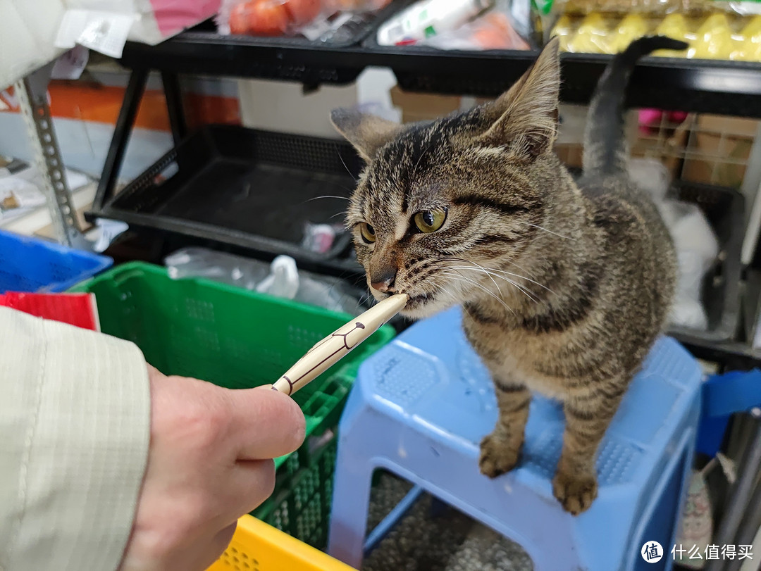 图书馆猿の让便宜货来的更猛烈一些吧！226