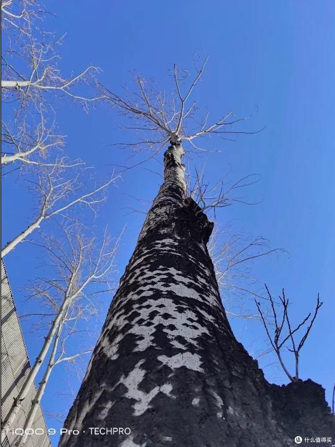 iQOO 9 Pro游戏手机体验:极致的速度美学 永无止境的超越