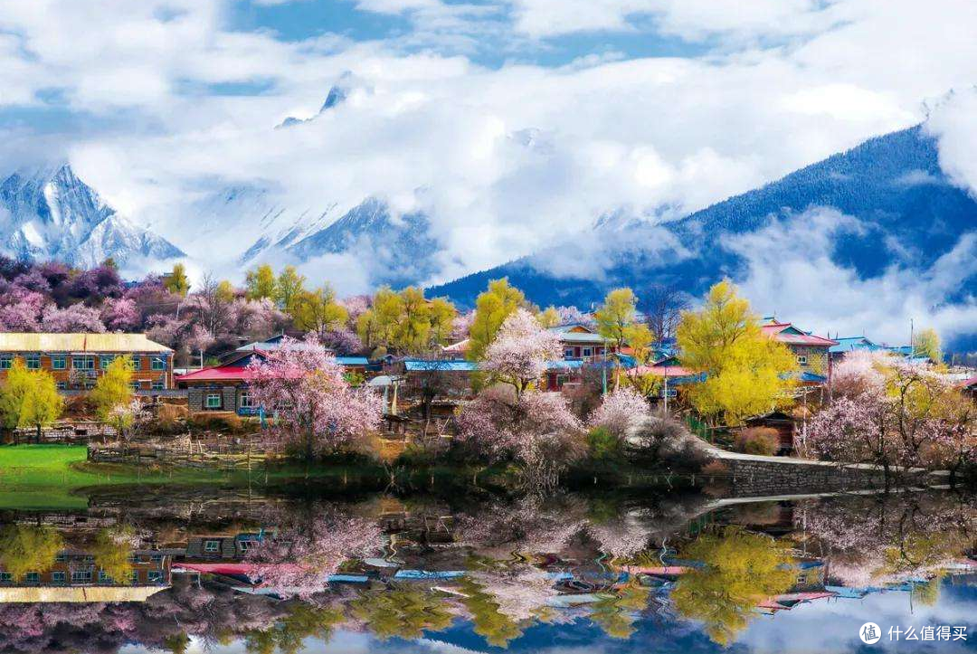 每年从3月霸屏到4月，她凭什么好看得这么突出？