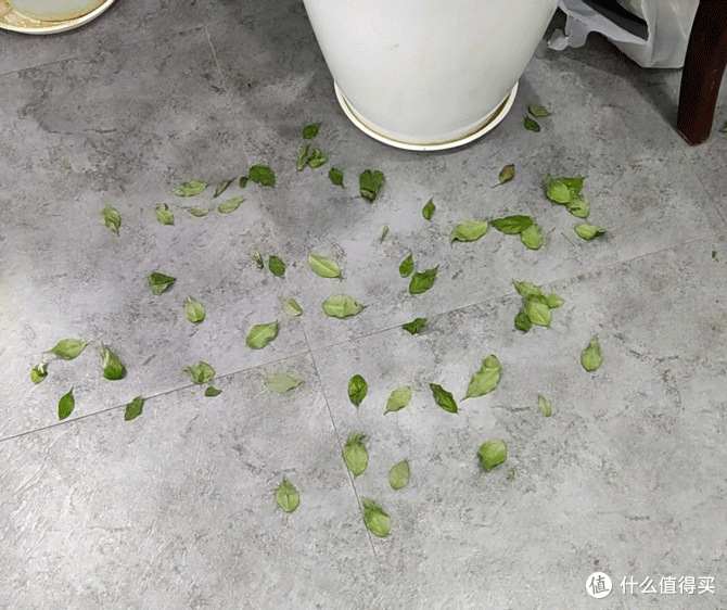 为了更愉快地打扫卫生,我给洒拖F6配了个滚刷吸尘头