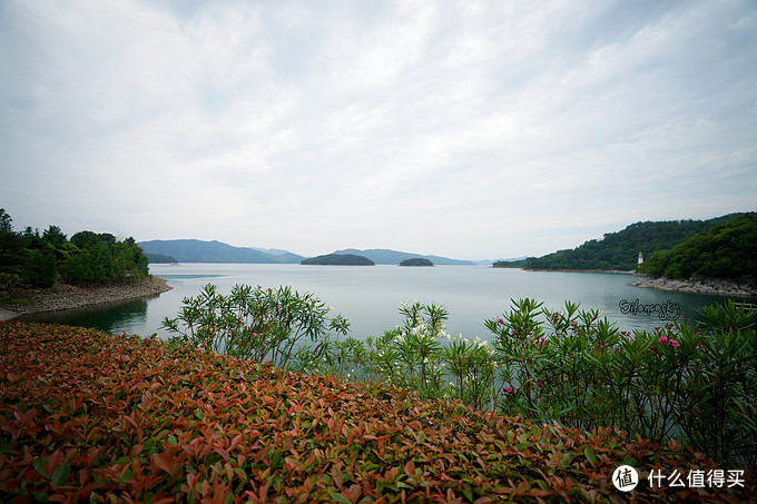 如果你去千岛湖只能住一家酒店，那就这家吧~独立避世的千岛湖洲际酒店