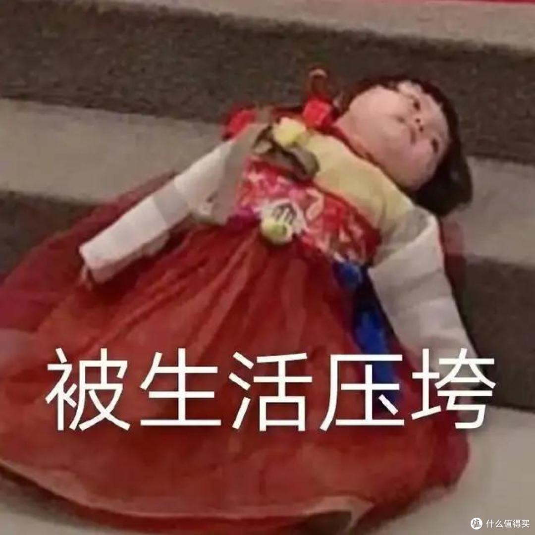 买东西这样搜索能省一半！宠物用品 | 服饰 | 美妆 | 装修软装 | 收纳，2022年网购省钱关键词梳理
